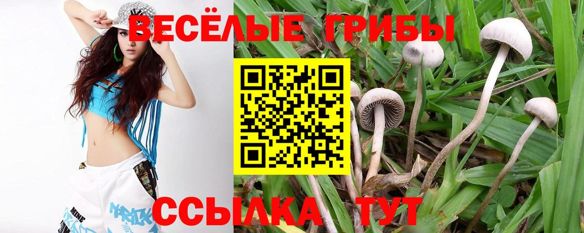 Галлюциногенные грибы MAGIC MUSHROOMS  Вход с VPN  Осинники  Псилоцибиновые грибы ЛСД 